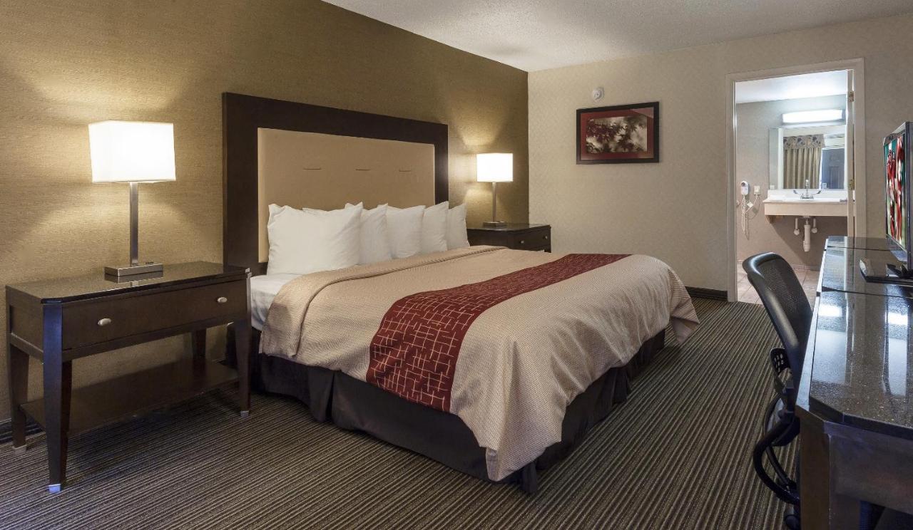 Red Roof Inn & Suites דקלב מראה חיצוני תמונה